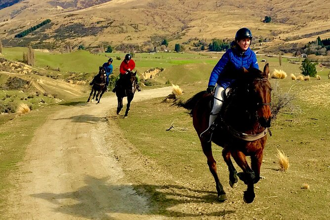 Cardrona High Country Pub Trail Horse Riding Trek (Intermediate+) - Crossing choppy rivers and riding past a working cattle farm