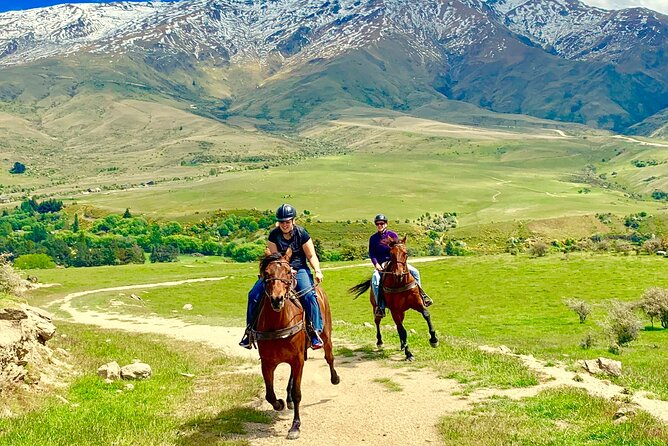 Cardrona High Country Pub Trail Horse Riding Trek (Intermediate+) - Horses, helmets, and the safety you can feel