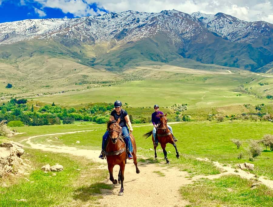 Cardrona Valley: Horse Trekking Experience - Cardrona Valley horse trekking: what the experience is really like