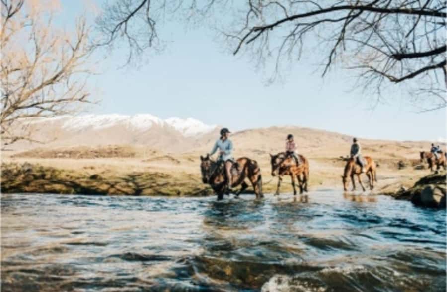 Cardrona Valley: Horse Trekking Experience - Choosing your trail: High Country Pub Trail vs Gold Discovery Trail