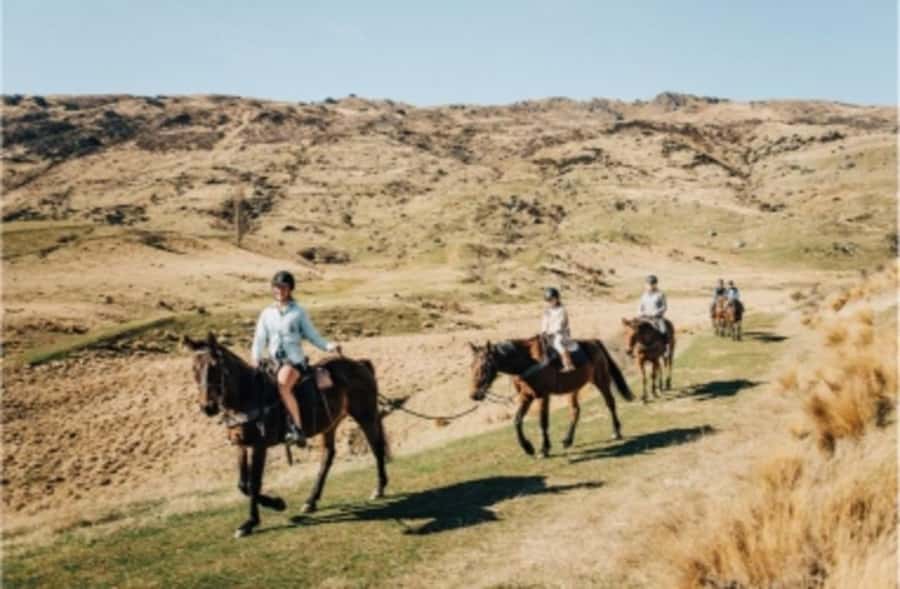 Cardrona Valley: Horse Trekking Experience - Duration and what $298 per person buys you