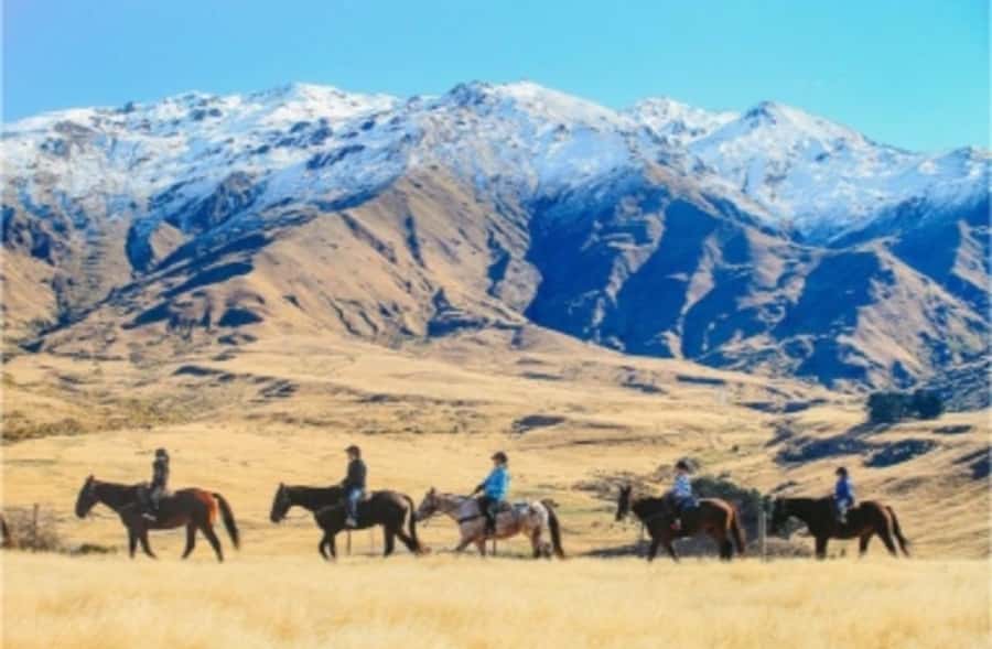Cardrona Valley: Horse Trekking Experience - Who should book this Cardrona Valley horse trek
