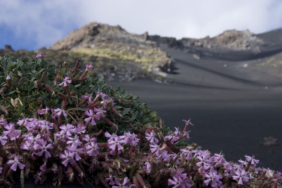 Catania: Etna Morning or Sunset Trek with Lava Tunnel & Gear - Gear, comfort, and what to pack for Etna cold and grit