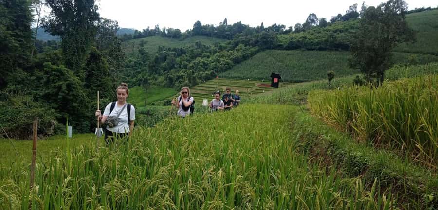 Chiang Mai: 2-Day Jungle Trek with Elephant Farm & Raft Ride - Key things I’d bet on