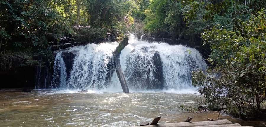 Chiang Mai: 2-Day Jungle Trek with Elephant Farm & Raft Ride - Elephant Sanctuary in the Jungle: Feeding and Bathing Without Riding