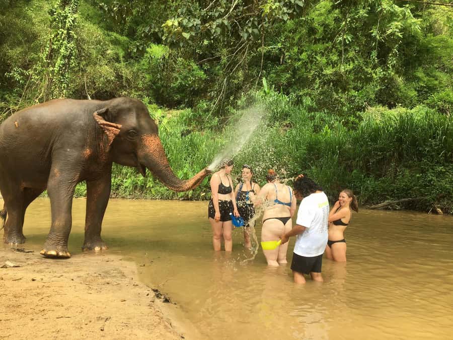 Chiang Mai: 2-Day Jungle Trek with Elephant Farm & Raft Ride - Bamboo Rafting on the Mae Wang River: Calm Water, Real Preparation