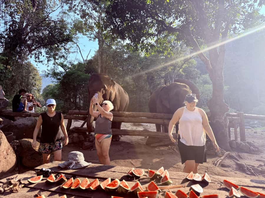 Chiang Mai 2-Day: Trekking, Tubing, Waterfalls & Elephant - Tubing on the Mae Taeng River: the best kind of wet day