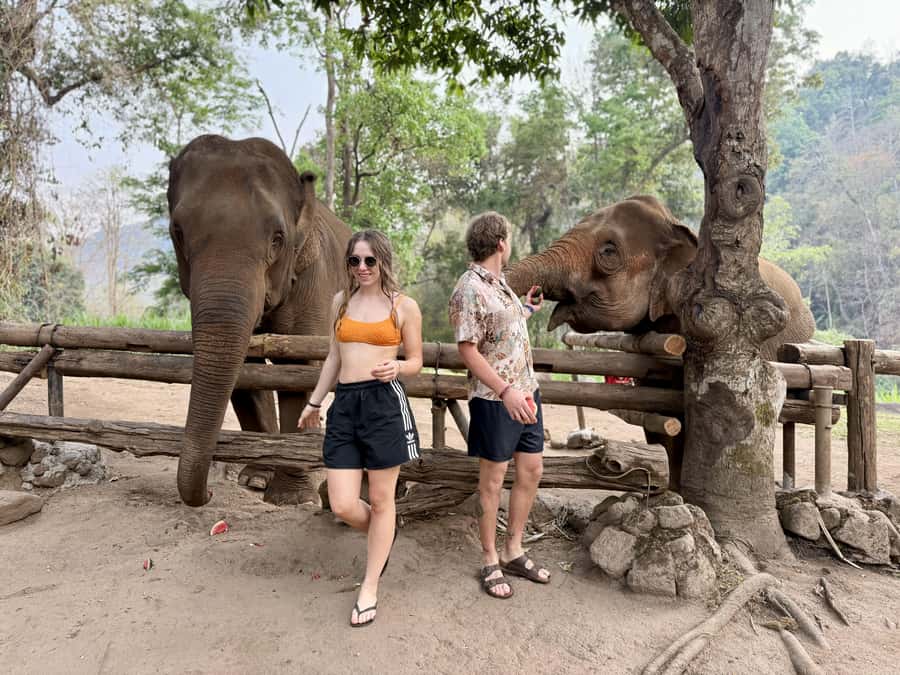 Chiang Mai 2-Day: Trekking, Tubing, Waterfalls & Elephant - Sleeping options: dorm comfort or a private pool villa