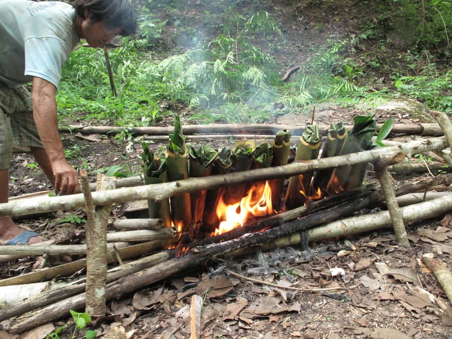 Chiang Mai: 2 Days, 1 Night Non-Tourist Trek - Why this non-tourist Chiang Mai trek feels different from the usual