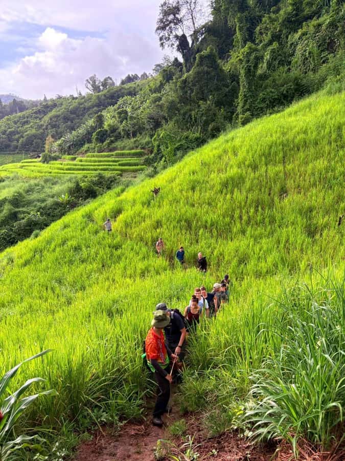 Chiang Mai: 2-Days Jungle Trek, Waterfalls and Karen Village - Lunch by Waterfalls: The Part You’ll Actually Remember