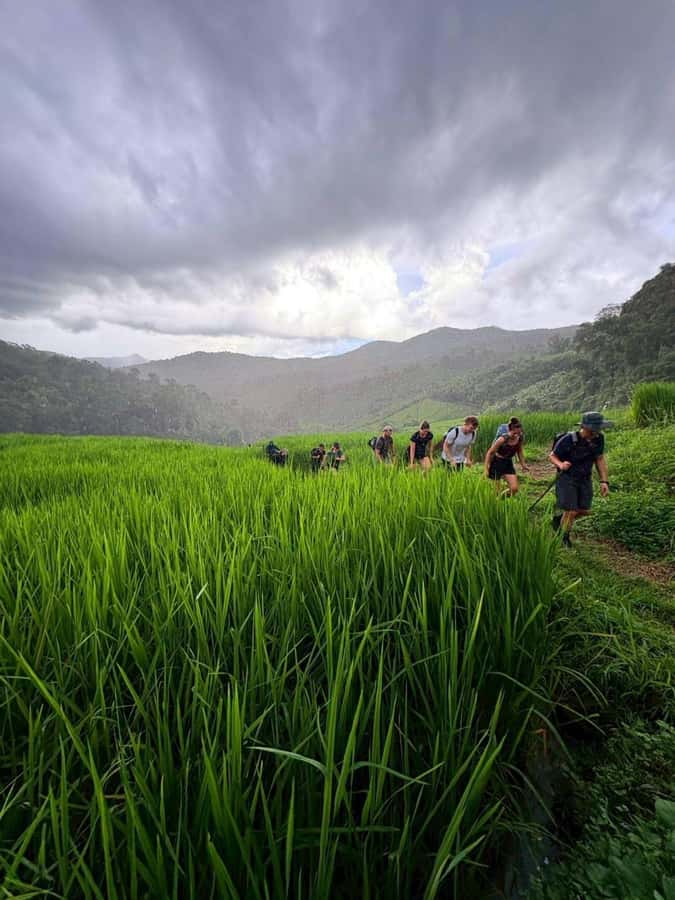 Chiang Mai: 2-Days Jungle Trek, Waterfalls and Karen Village - Food on the Trek: Fuel That Actually Works