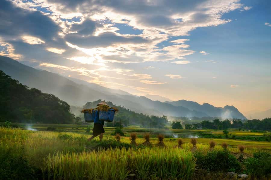 Chiang Mai: 3-Day Karen Hill Tribe Immersion with Trekking - Chiang Mai to Doi Inthanon: The Start That Sets the Tone