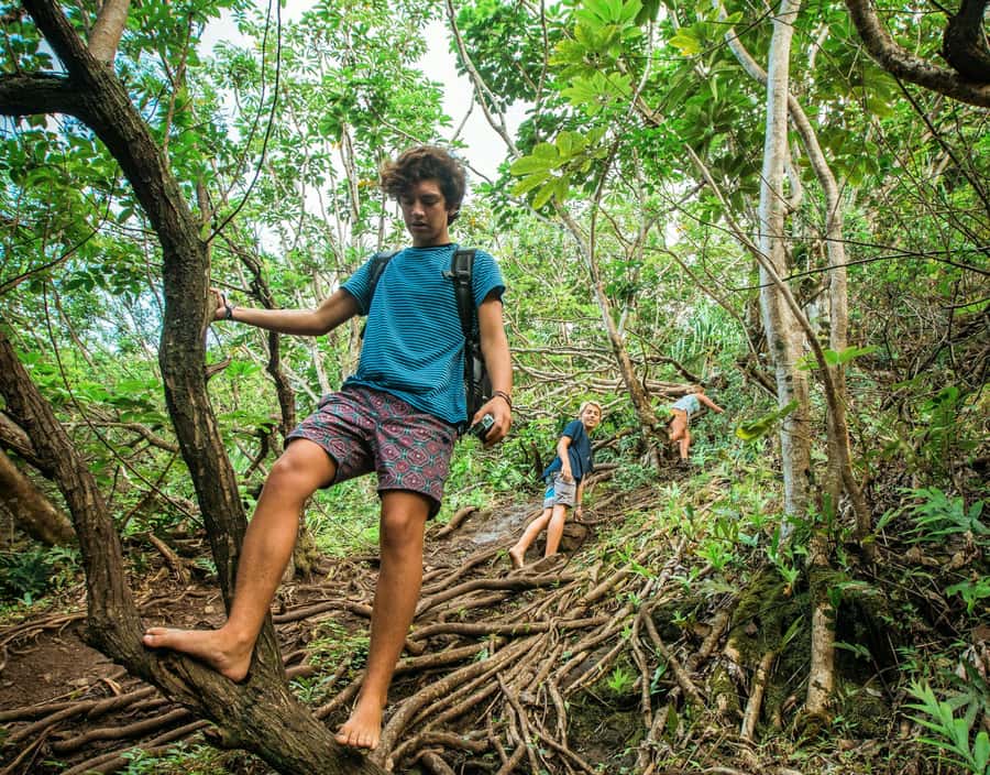 Chiang Mai: 3-Day Karen Hill Tribe Immersion with Trekking - Day 1 Forest Paths, Bamboo Groves, and Firelight Dinner Under Stars