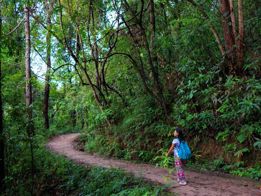Chiang Mai: 3-Day Karen Hill Tribe Immersion with Trekking - Price and Value: What Your $158 Really Buys in Remote Karen Land