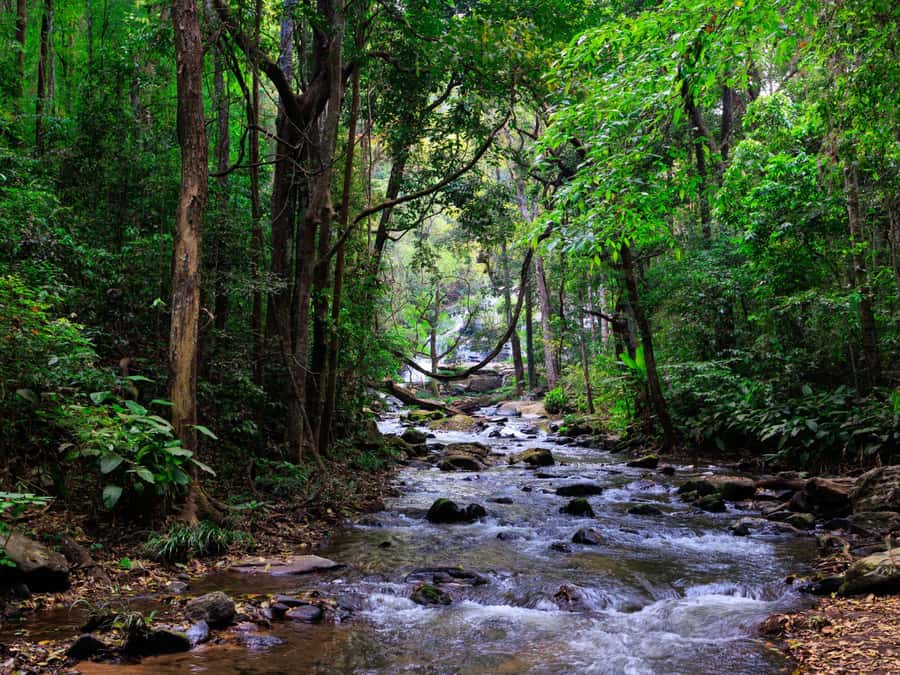 Chiang Mai: 3-Day Karen Hill Tribe Immersion with Trekking - Packing and Pace: 5–7 Hours of Uneven Trail Plus Cold Showers