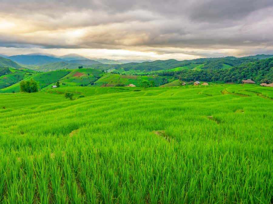 Chiang Mai: 3-Day Karen Hill Tribe Immersion with Trekking - Who Should Book This Trek, and Who Should Skip It