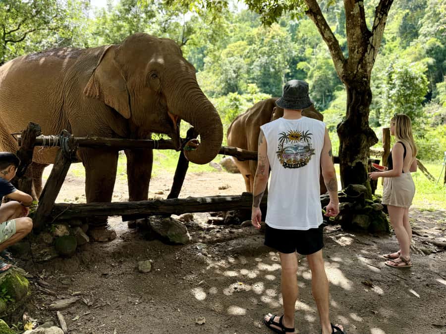 Chiang Mai Adventure: Trekking, Tubing & Waterfall Slide - Should you book it? My practical take