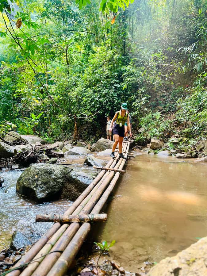 Chiang Mai Adventure: Trekking, Tubing & Waterfall Slide - Lunch at the base camp: why the food break is more than a meal