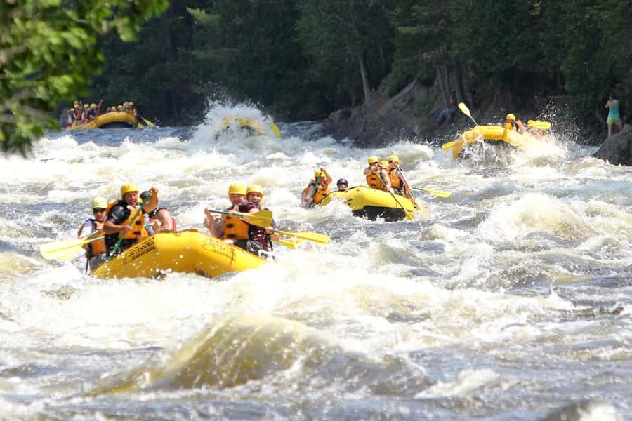 Chiang Mai ATV & White Water Rafting & Trekking to Waterfall - Key things that make this Chiang Mai adventure worth it