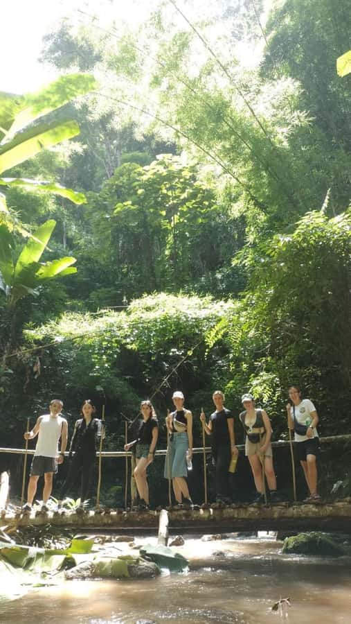 Chiang Mai ATV & White Water Rafting & Trekking to Waterfall - Trekking to the Waterfall: What the Trail Feels Like