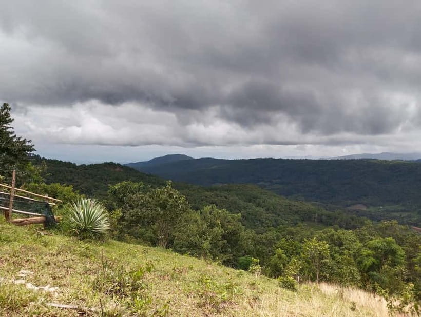 Chiang Mai Authentic Trekking - The 10–12km Mountain & Forest Trek: What the Route Really Demands