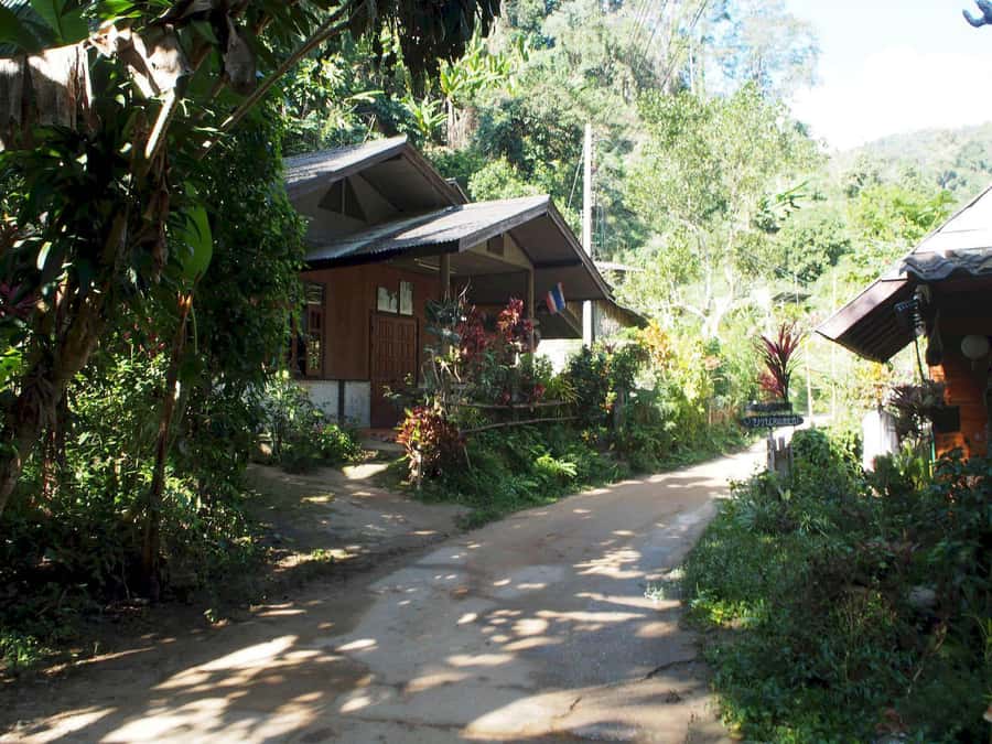 Chiang Mai: Chiang Dao Caves and Jungle Trek with Lunch - A day north of Chiang Mai: Chiang Dao Mountains, simplified