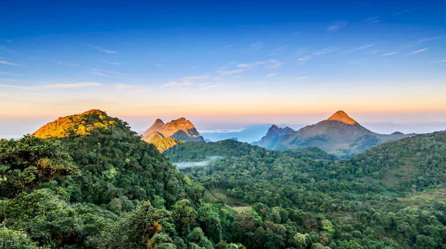 Chiang Mai: Chiang Dao Caves and Jungle Trek with Lunch - The 6 km jungle trek: 21 river crossings and coffee trees