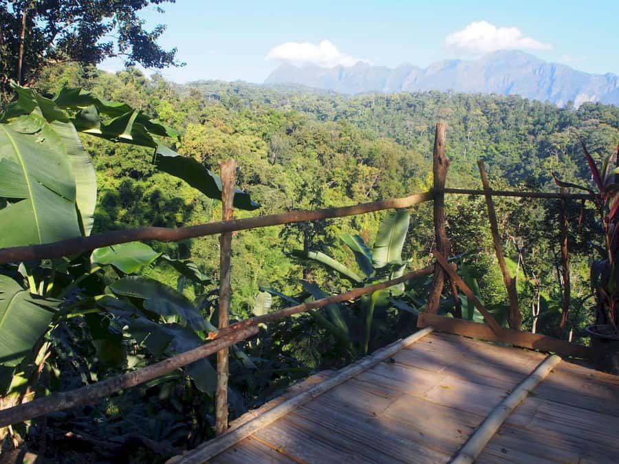 Chiang Mai: Chiang Dao Caves and Jungle Trek with Lunch - Footing, pace, and wet-shoe reality: what to wear