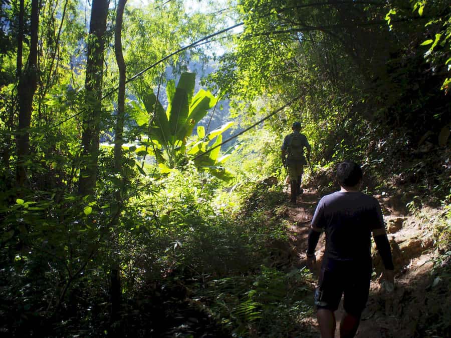 Chiang Mai: Chiang Dao Caves and Jungle Trek with Lunch - Lunch timing: on the way, or afterward