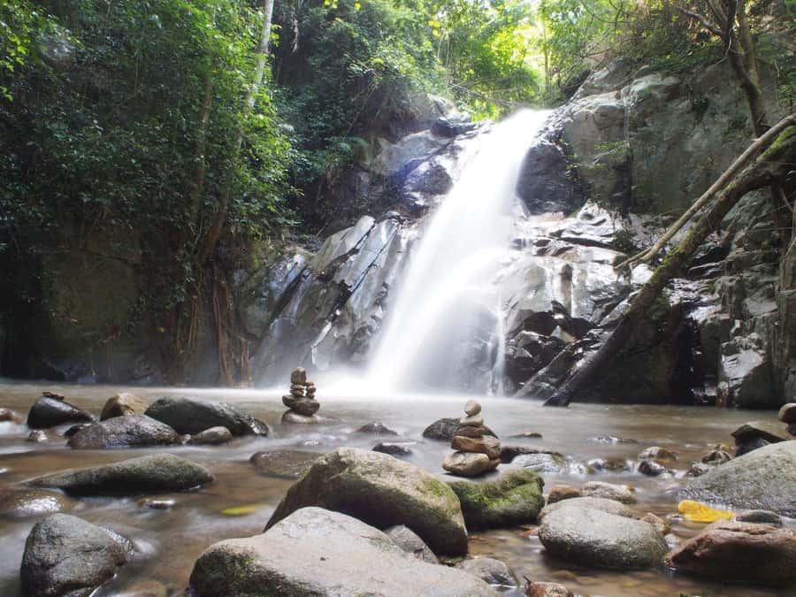 Chiang Mai: Chiang Dao Caves and Jungle Trek with Lunch - Chiang Dao Caves: limestone formations plus an underground shrine