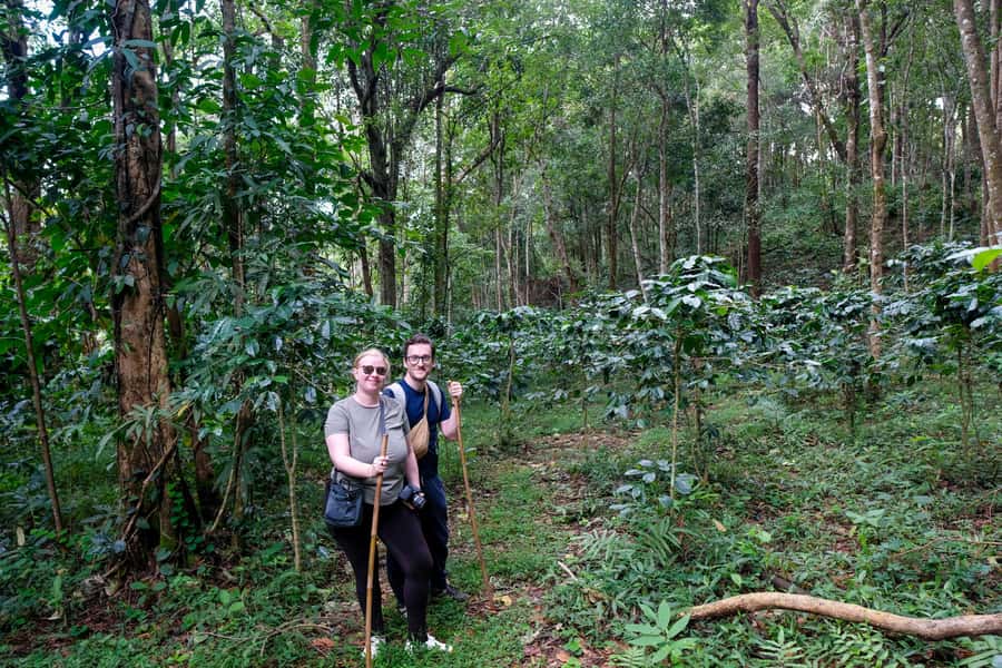 Chiang Mai Coffee Full Day Tour: Trek, Brew & Roast Journey. - Trek into the Upstream Forest: Coffee Starts on the Walk