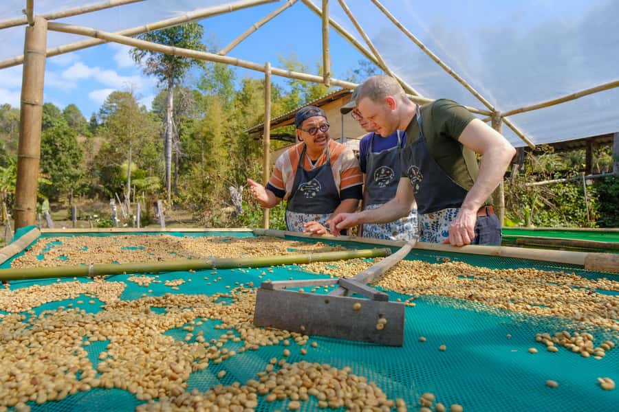 Chiang Mai Coffee Full Day Tour: Trek, Brew & Roast Journey. - Hill Tribe Farming Up Close: Ethical Tourism That’s Not Just a Story