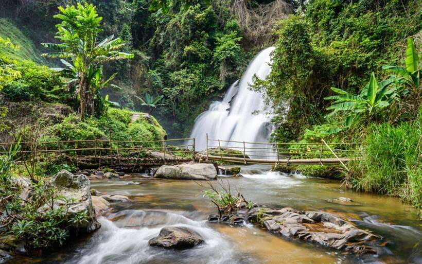 Chiang Mai: Doi Inthanon National Park and Pha Dok Siew Trek - How the day is paced: full day, not full-on suffering