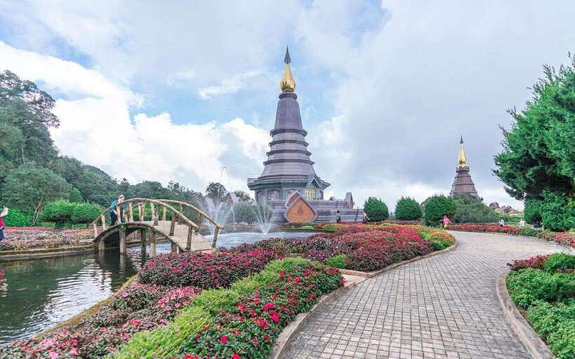 Chiang Mai: Doi Inthanon National Park and Pha Dok Siew Trek - Pha Dok Siew Nature Trail: gentle on paper, real on the steps