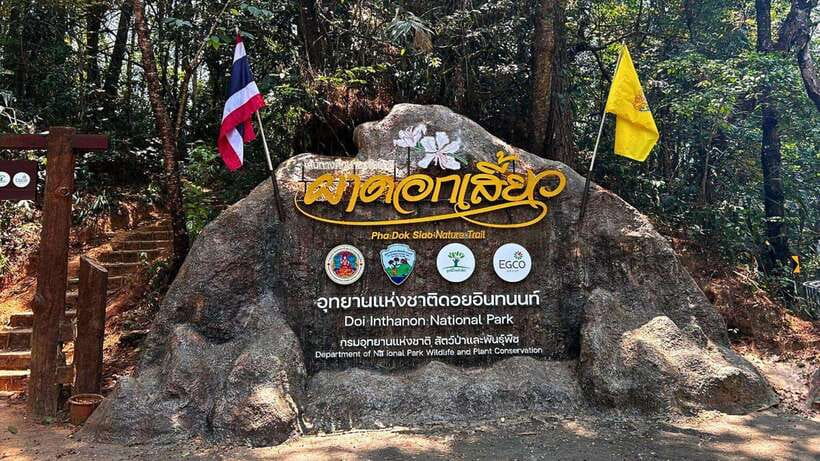 Chiang Mai: Doi Inthanon National Park and Pha Dok Siew Trek - Pickup and coffee breaks: the small logistics that set the tone