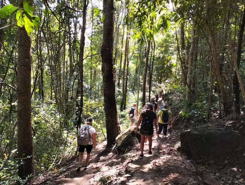 Chiang Mai: Doi Inthanon National Park+Trek Pha Dok Siew - Rak Jung Waterfall: Optional Swim, Weather Dependent