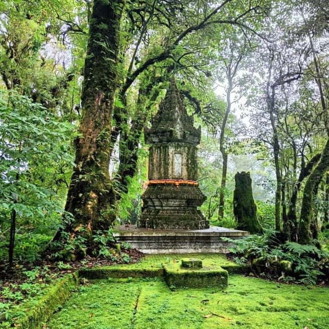 Chiang Mai: Doi Inthanon National Park+Trek Pha Dok Siew - Pagodas With Garden Time: King and Queen Views (Plus Phra Mahathat Naphamethanidon)