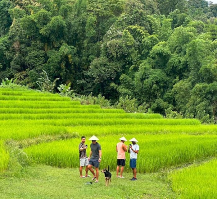 Chiang Mai: Doi Inthanon Park and Pha Dok Siew Trail Trek - Wachirathan Waterfall: refreshing payoff at the end