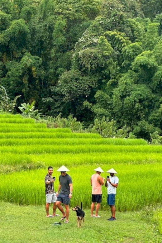 Chiang Mai: Doi Inthanon Park and Pha Dok Siew Trail Trek - Key highlights that make this tour worth it