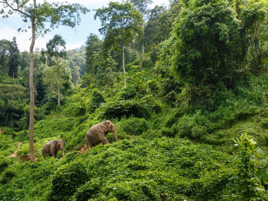 Chiang Mai: Doi Inthanon Park and Pha Dok Siew Trail Trek - Reaching the top: Doi Inthanon summit stop (and why the weather matters)