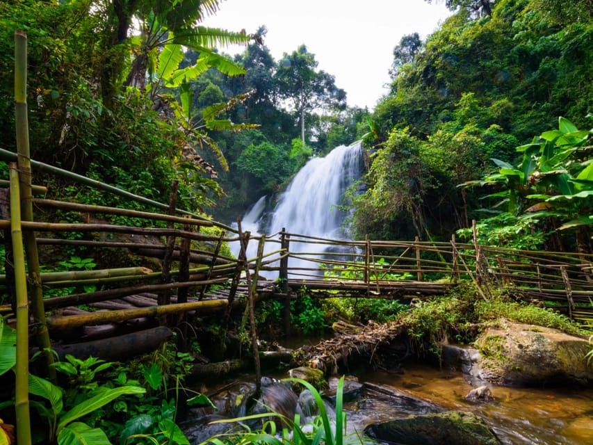 Chiang Mai: Doi Inthanon Park and Pha Dok Siew Trail Trek - Pha Dok Siew Nature Trail trek: the calm highlight of the day