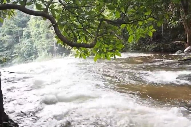 CHIANG MAI: Doi Inthanon-Trekking Pha Dok Seaw-Waterfall-Lunch - Twin Pagodas and hill-tribe time: what to expect (and what not to over-plan)