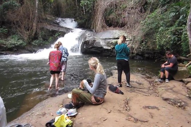 CHIANG MAI: Doi Inthanon-Trekking Pha Dok Seaw-Waterfall-Lunch - Price and value: what $44.60 covers, and what costs extra