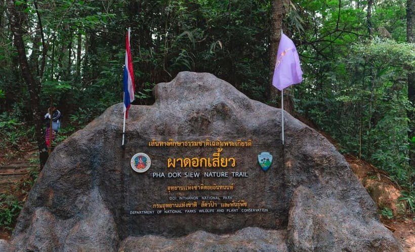Chiang Mai: Doi Inthanon Trip with Pha Dok Siew Guided Trek - Key points that make this trip worth your time