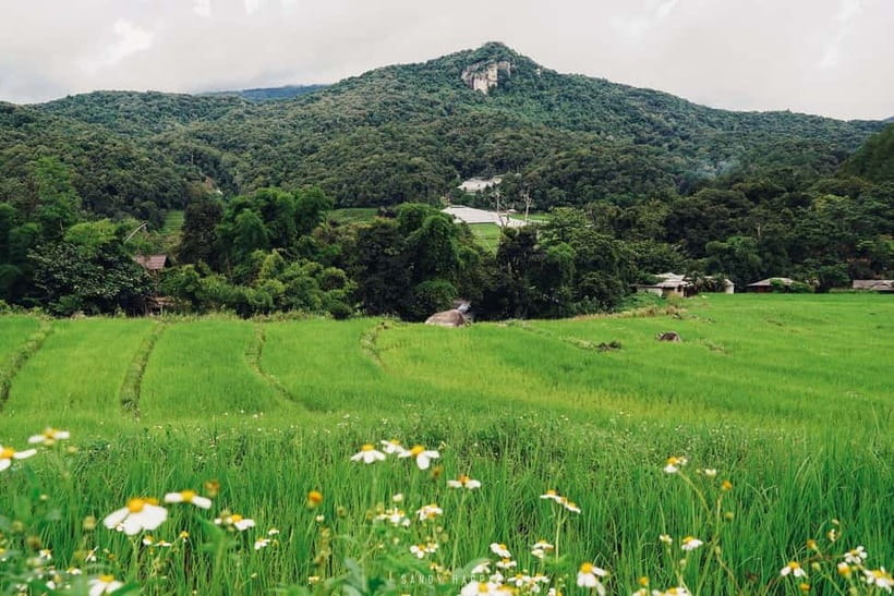 Chiang Mai: Doi Inthanon Trip with Pha Dok Siew Guided Trek - What to pack: hat, warm layers, and cold-weather reality