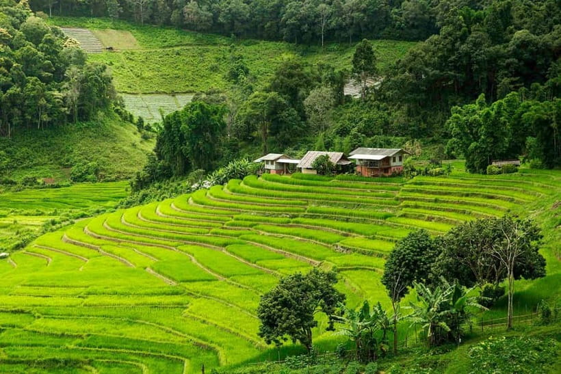 Chiang Mai: Doi Inthanon Trip with Pha Dok Siew Guided Trek - Doi Inthanon and Pha Dok Siew: what you’re really signing up for