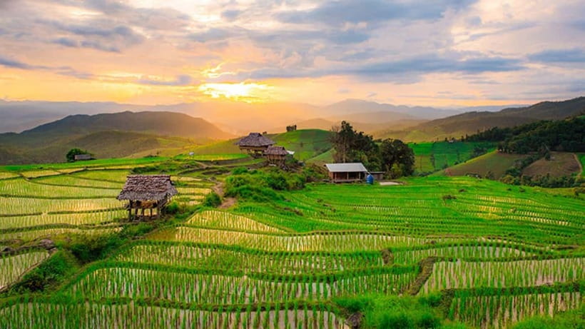 Chiang Mai: Doi Inthanon Trip with Pha Dok Siew Guided Trek - Lunch, water, and how the set-menu format affects your pacing