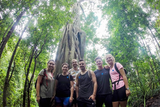 Chiang Mai: Doi Suthep Summit Trek – 7 Hour Pure Hiking Adventure - Quick Key Points Before You Go