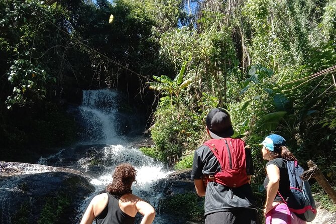 Chiang Mai: Doi Suthep Summit Trek – 7 Hour Pure Hiking Adventure - Hitting Doi Pui: Why This Trek Feels Different