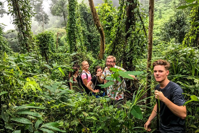 Chiang Mai: Doi Suthep Summit Trek – 7 Hour Pure Hiking Adventure - The Real Physical Challenge (So You Can Decide)